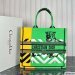Dior Large Book Tote Multicolor