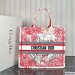 Dior Large Book Tote Multicolor