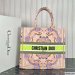 Dior Large Book Tote Multicolor