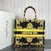 Dior Large Book Tote Multicolor