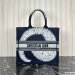 Dior Large Book Tote Multicolor