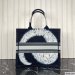 Dior Large Book Tote Multicolor