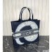 Dior Large Book Tote Multicolor