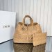 Dior Large Toujours Bag