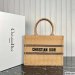 Dior Medium Book Tote
