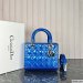 Dior Medium Lady Dior Bag