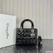 Dior Medium Lady Dior Bag