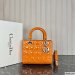 Dior Medium Lady Dior Bag