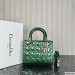 Dior Medium Lady Dior Bag