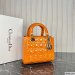 Dior Medium Lady Dior Bag