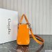 Dior Medium Lady Dior Bag