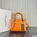 Dior Medium Lady Dior Bag