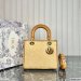 Medium Lady Dior Bag