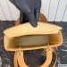Medium Lady Dior Bag