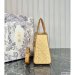 Medium Lady Dior Bag