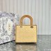Medium Lady Dior Bag