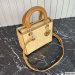 Medium Lady Dior Bag