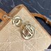 Medium Lady Dior Bag