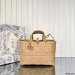 Dior Medium Toujours Bag