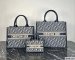 Dior Mini Book Tote