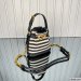 Dior Small C'est Bag