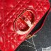 Dior Small Caro Bag