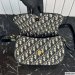 Dior Small CD Besace Bag