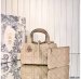 Dior Small Toujours Bag