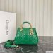 Dior The Lady 95.22 Small Bag