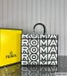 Fendi Sunshine Medium