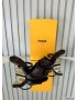 Fendi First High-Heeled Sandals