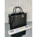 Dior Large Book Tote