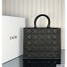 Dior Large Book Tote