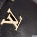 Louis Vuitton Capucines Bag