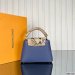 Louis Vuitton Capucines Mini