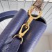 Louis Vuitton Capucines Mini