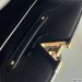 Louis Vuitton Capucines Mini
