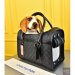 Louis Vuitton Dog Bag
