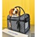 Louis Vuitton Dog Bag