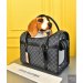 Louis Vuitton Dog Bag