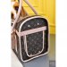 Louis Vuitton Dog Bag