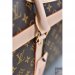 Louis Vuitton Dog Bag