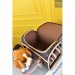 Louis Vuitton Dog Bag
