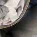 Louis Vuitton Onthego GM