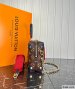 Louis Vuitton Petite Malle Souple