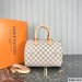 Louis Vuitton Speedy 25