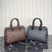 Louis Vuitton Speedy 25
