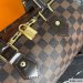 Louis Vuitton Speedy 25