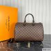 Louis Vuitton Speedy 35
