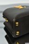 Louis Vuitton Capucines Mini Bag